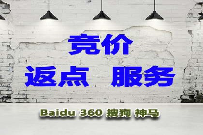 行业领先企业的关键词竞价排名实战案例
