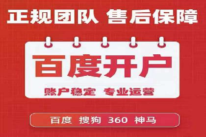 某电商平台的SEM关键词策略及成效分析