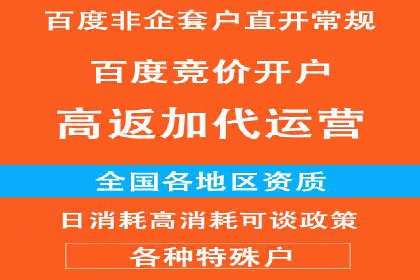 成功案例分享：SEM竞价代运营策略解析